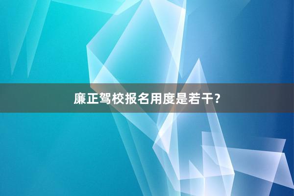 廉正驾校报名用度是若干？