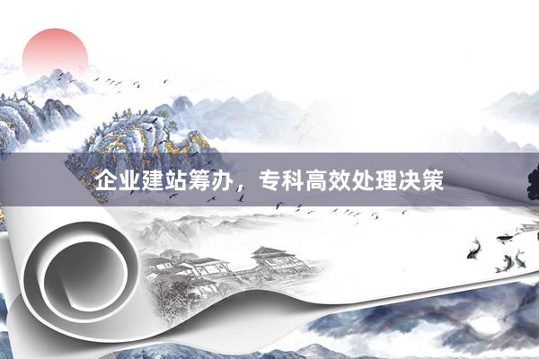 企业建站筹办，专科高效处理决策
