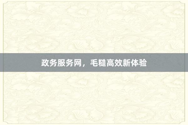 政务服务网，毛糙高效新体验