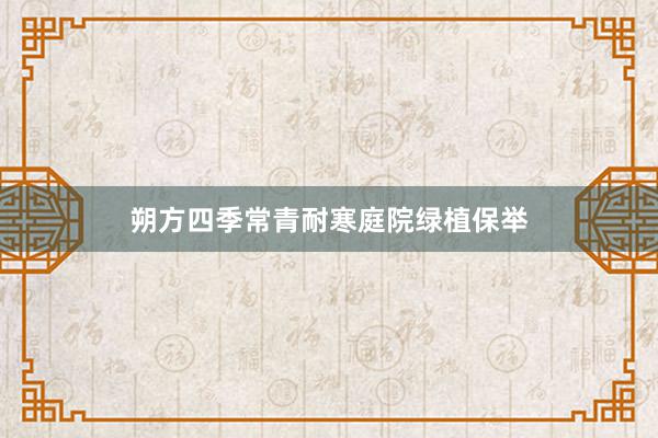 朔方四季常青耐寒庭院绿植保举