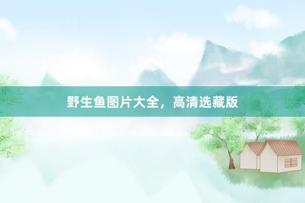 野生鱼图片大全，高清选藏版