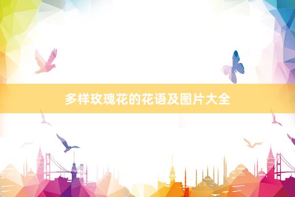 多样玫瑰花的花语及图片大全