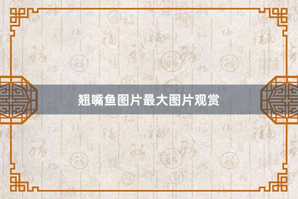 翘嘴鱼图片最大图片观赏